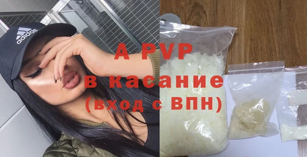 ECSTASY Гусев