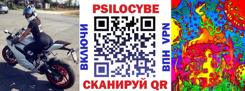 как найти   Ишимбай  Псилоцибиновые грибы Psilocybe 